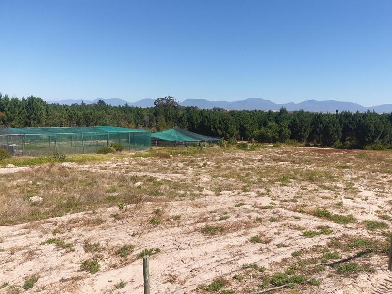 0 Bedroom Property for Sale in Albertinia Western Cape